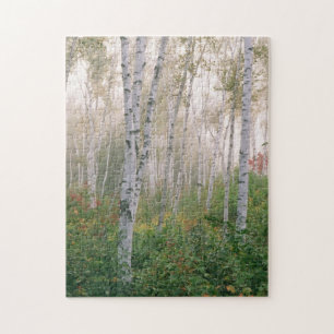 VS, New Hampshire. Berkenbomen in klarende mist Legpuzzel