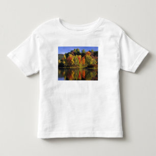 VS, New Hampshire, Moultonborough. Bomen in Kinder Shirts