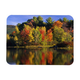 VS, New Hampshire, Moultonborough. Bomen in Magneet