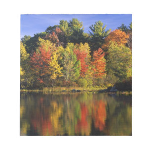 VS, New Hampshire, Moultonborough. Bomen in Notitieblok