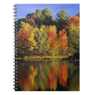 VS, New Hampshire, Moultonborough. Bomen in Notitieboek