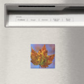 VS, New Hampshire, Witte Bergen, Franconia Magneet (Insitu (Vaatwasser))