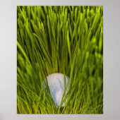 VS, New Jersey, Jersey City, close-up uitzicht of Poster (Voorkant)