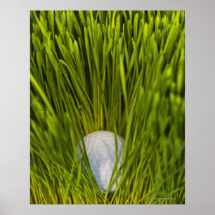 VS, New Jersey, Jersey City, close-up uitzicht of Poster