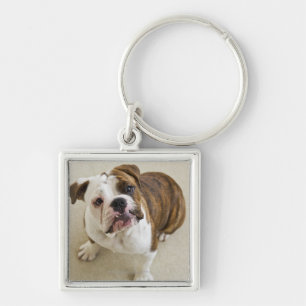 VS, New Jersey, Jersey City, portret van schattig Sleutelhanger