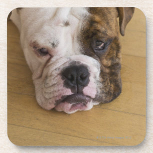 VS, New Jersey, Jersey City, portret verveeld Drankjes Onderzetter