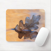 VS, New Mexico. Eak-blad in stroom Muismat (Met muis)