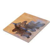 VS, New Mexico. Eak-blad in stroom Tegeltje (Zijkant)