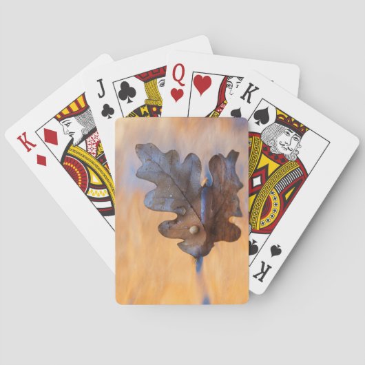 VS, New Mexico. Eikenblad in stroom Pokerkaarten (Achterkant)