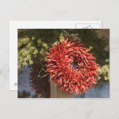 VS, New Mexico, Santa Fe: Downtown Santa Fe, 2 Briefkaart (Voorkant / Achterkant)