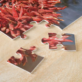 VS, New Mexico, Santa Fe: Downtown Santa Fe, 2 Legpuzzel (Zijkant)
