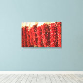 VS, New Mexico, Santa Fe: Downtown Santa Fe, 3 Canvas Afdruk (Insitu (Houten vloer))