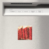 VS, New Mexico, Santa Fe: Downtown Santa Fe, 3 Magneet (Insitu (Vaatwasser))