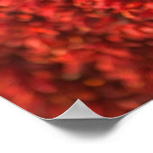 VS, New Mexico, Santa Fe: Downtown Santa Fe, 3 Poster (Hoek)