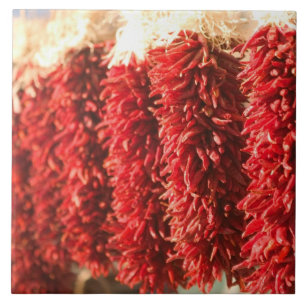 VS, New Mexico, Santa Fe: In het centrum van Santa Tegeltje