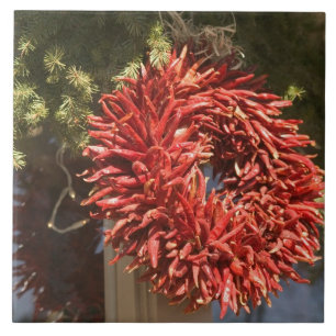 VS, New Mexico, Santa Fe: Santa Fe, 2 Tegeltje