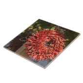 VS, New Mexico, Santa Fe: Santa Fe, 2 Tegeltje (Zijkant)