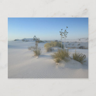 VS, New Mexico, White Sands National 2 Briefkaart