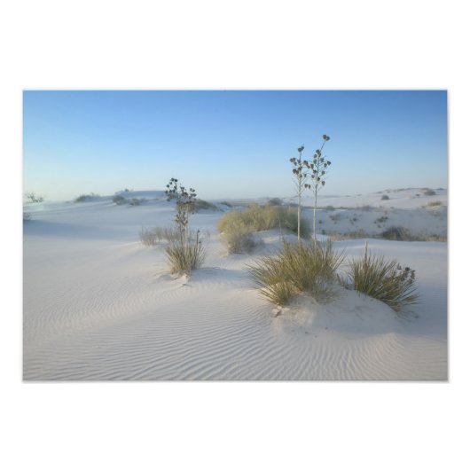 VS, New Mexico, White Sands National 2 Foto Afdruk (Voorkant)
