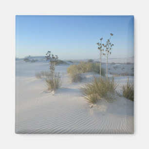 VS, New Mexico, White Sands National 2 Magneet