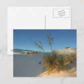 VS, New Mexico, White Sands National 3 Briefkaart (Voorkant / Achterkant)