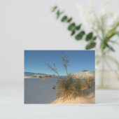 VS, New Mexico, White Sands National 3 Briefkaart (Staand voorkant)