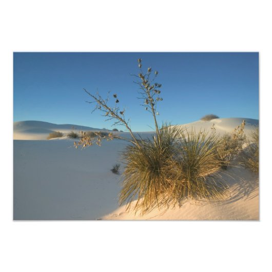 VS, New Mexico, White Sands National 3 Foto Afdruk (Voorkant)