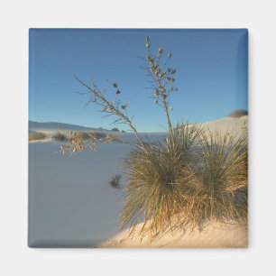 VS, New Mexico, White Sands National 3 Magneet