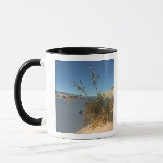 VS, New Mexico, White Sands National 3 Mok (Links)