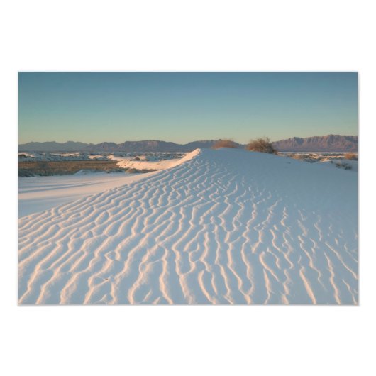 VS, New Mexico, White Sands National Foto Afdruk (Voorkant)