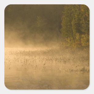 VS, New York, Adirondack Park. Ochtendnevel op Vierkante Sticker