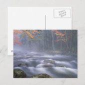 VS, New York, Adirondacks, Big Moose River Briefkaart (Voorkant / Achterkant)