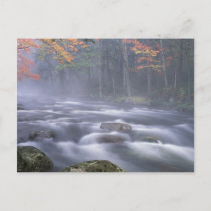 VS, New York, Adirondacks, Big Moose River Briefkaart