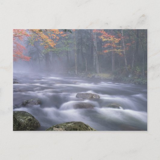 VS, New York, Adirondacks, Big Moose River Briefkaart (Voorkant)