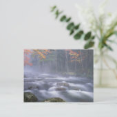 VS, New York, Adirondacks, Big Moose River Briefkaart (Staand voorkant)
