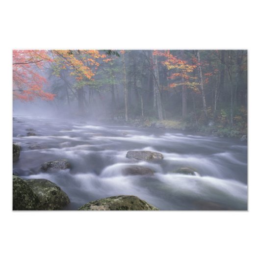 VS, New York, Adirondacks, Big Moose River Foto Afdruk (Voorkant)