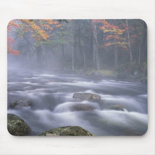 VS, New York, Adirondacks, Big Moose River Muismat (Voorkant)