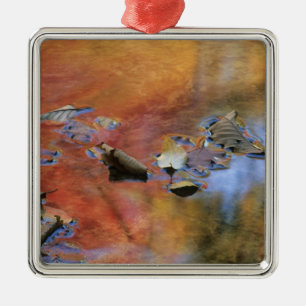 VS, New York, Adirondacks, Gevallen bladeren in Metalen Ornament