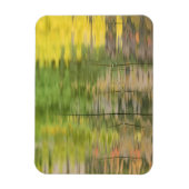 VS, New York, Adirondacks, Reflecties in water Magneet (Verticaal)