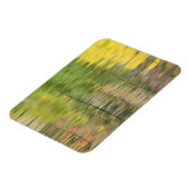 VS, New York, Adirondacks, Reflecties in water Magneet (Linkerzijde)