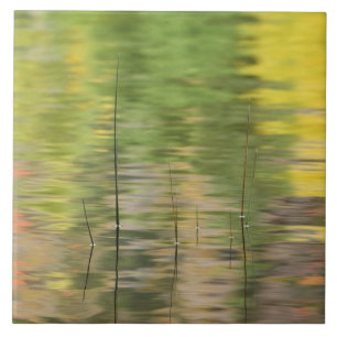 VS, New York, Adirondacks, Reflecties in water Tegeltje