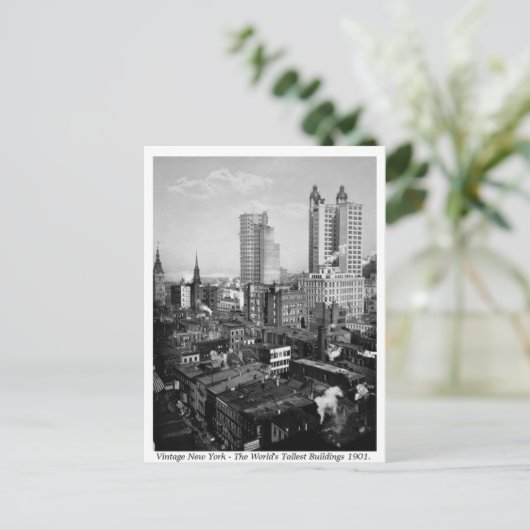  VS, New York City 1901 Briefkaart (Staand voorkant)