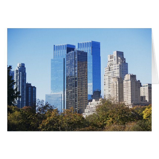 VS, New York City, Central Park met skyline (Voorkant Horizontaal)