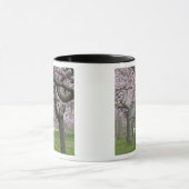 VS, New York, East Hampton. Kersenbomen in Mok (Midden)