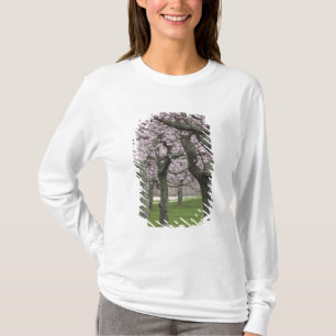VS, New York, East Hampton. Kersenbomen in T-shirt