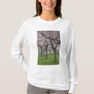 VS, New York, East Hampton. Kersenbomen in T-shirt
