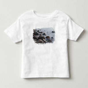 VS, New York, East Hampton. Oceaangolfslag bij Kinder Shirts
