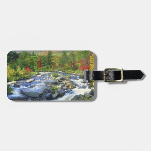 VS, New York. Een waterval in de Adirondack Bagagelabel (Voorkant horizontaal)