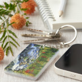 VS, New York. Een waterval in de Adirondack Sleutelhanger (Voorkant Rechts)