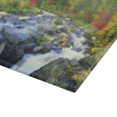 VS, New York. Een waterval in de Adirondack Snijplank (Hoek)